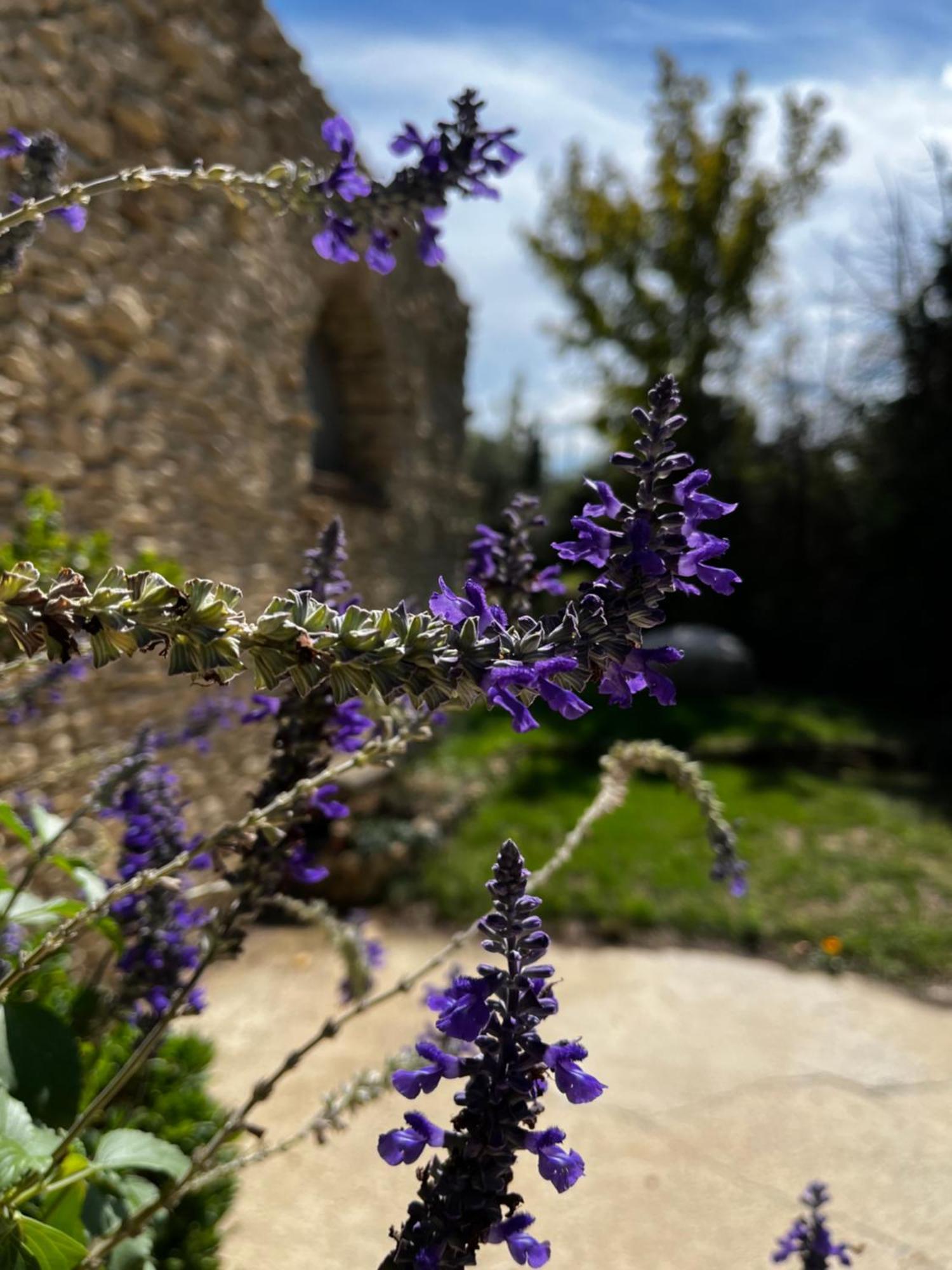 Villa Havre De Paix En Provence