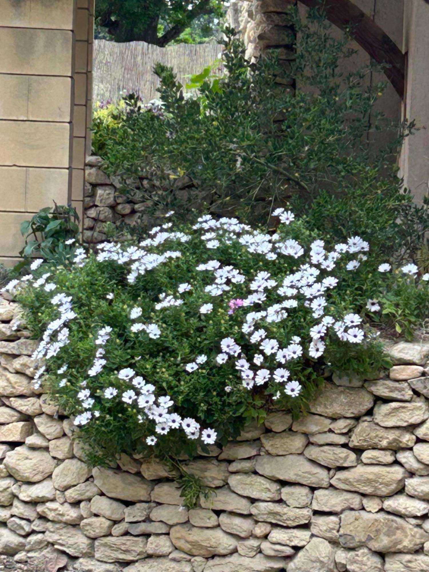 Havre De Paix En Provence *